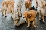 a5f251f110411cff625ae5f71209a164_194