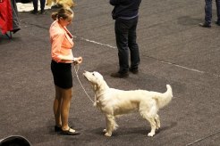 a5f3b3f80b280ffa350c58441f43a6d1_246x164_fill