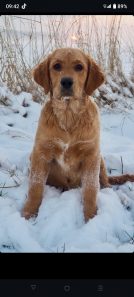 a62ba5ef4896065c2dd3d2bff68447eb_134x297