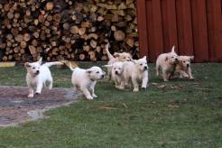 a6424a199d42ed9354d5e45f3b575cb0_246x164_fill