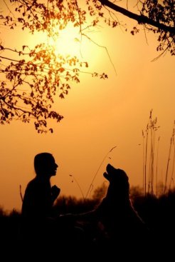 a64517e3cf7885df0aeebf260c877f0e_246x367