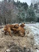 a64e16ef79b0fd069295b4e4ffad1809_138x184_fill