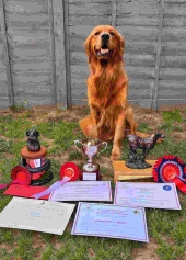 a6ab362204cdf1787f280ff0ed0be388_170x237