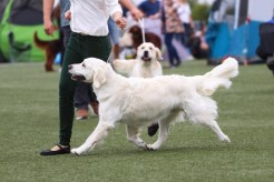 a6d6259054a39f46509694384a520a99_246