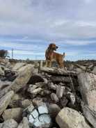 a761951b866188cbd1ffd1e0beb172e2_138x184_fill