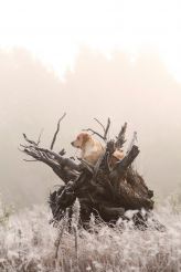 a7b23dc99f8941ce87ea588b450eae93_164x246_fill