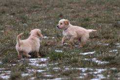 a7b958c707ddbc8542ba5c31667e9b2d_246