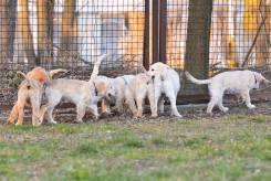 a7e17ce5e32b281c1041f1a5e225ff38_245