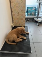 a7e1ab3b4e1e659f56c99975f4ec7e79_138x184_fill