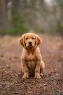 a7e806eda273e0e4c865dc2db5173640_130x195_fill