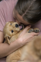 a7ebd71f9ae728e8b48079a9175b7c1b_164x246