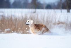 a880631f654eefd4bb5368be6cd18380_245