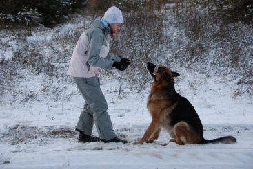 a883a956e8d8755a94350a26ee96ec15_367