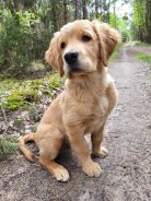 a8e183b041ee57d684bfcdfbc35c4254_138x184_fill