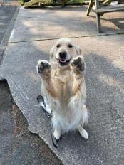 a965f9bb3ba662c2aed13c963e03feca_174x232_fill