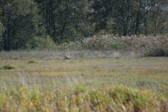 a9664001b4b656b150271d7610c84b10_246