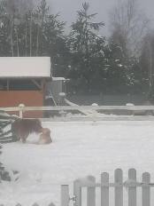 a97f76a869e88ae3ba76ccfc7e5fb1ad_174x232_fill