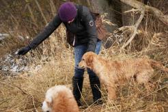 a9bdf0822a672586dd14580b528565ca_246