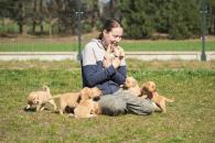 a9c87ba3ce6ffce2a1db1b55555dd99b_195x130_fill