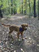 a9fd90309c7fa5909c2e712228b5d00a_138x184_fill