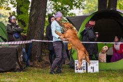 aa2e85b860f61e515bc67ea02095c066_246