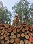 aa4b7cf4c439ba56d39e600fba73a00c_138x184_fill