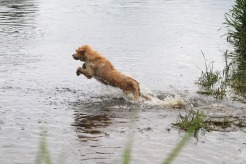 aa6eebf4a86bc580fd16da4cce739fc8_246