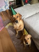 aa98766a67750ed2a005367a499f27cb_138x184_fill