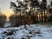 aadaa7ff3c41c7b4376a0f698a3d7d49_184x138_fill