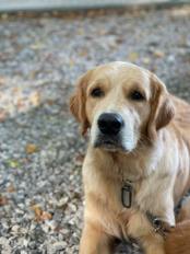 aaf114c6208b08ae5e43e90e5b9ca04f_174x232_fill