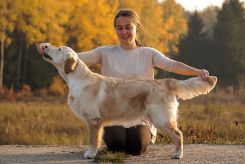 aaf2337cc9ae97bf923c4ce0f7803a6f_245