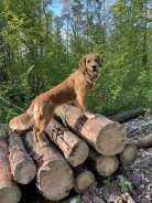 ab17160ca78141142970c074cc37503a_138x184_fill