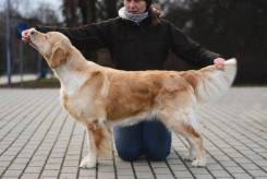 ab2f6af4e8689fb48a24e5e00666e731_245