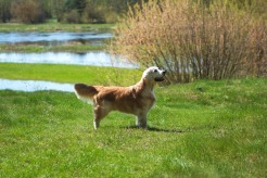 ab9ecb46b5e78e98137c7ded151f82aa_246