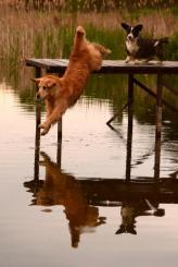 abc68ac00445e34a7a5a4321beb80e0b_164x245