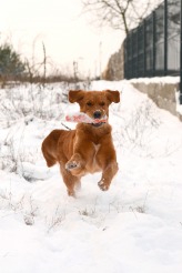 abdccc653267ad7a7e201f44ecfd2ce0_164x246