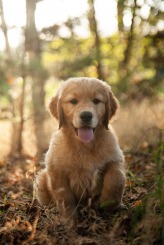 abea1ed7b7a9a211aeaeb778b20ad868_164x245