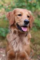 ac3aa5b957e9d6a5724a2db3a3ac7101_130x194