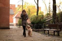 ac47683fa2cacfc7025e307bb57d196f_246x164_fill