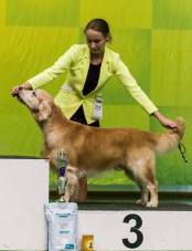 ac5aa2e8761f4fa731e88c9ae3adffe2_174x227