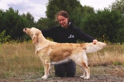 ac837198f24d01d4356dcdb279a35035_246