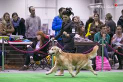 ac89a605363a61189c1329fed927e8cc_246