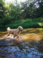 ac9f253428b05b6a0beb5322777e138d_174x232_fill