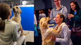 acf580aa0bc79974b554491544be0414_268