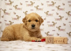 ad75056e52be87b1909173da13b27145_237