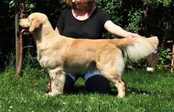 ad8e8bb7a5403d183a03d2ece4b2f9cf_248