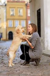 ad8ec9dbe27952605d9ec953b3fee737_164x246_fill