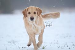 adb0a0b112cd05282b44ab247a1e7c18_245