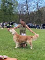 adf4ff976fe4cd53508e82981336680f_174x232_fill