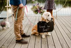 ae247f8c237194878891a2fc6ac3baa6_245